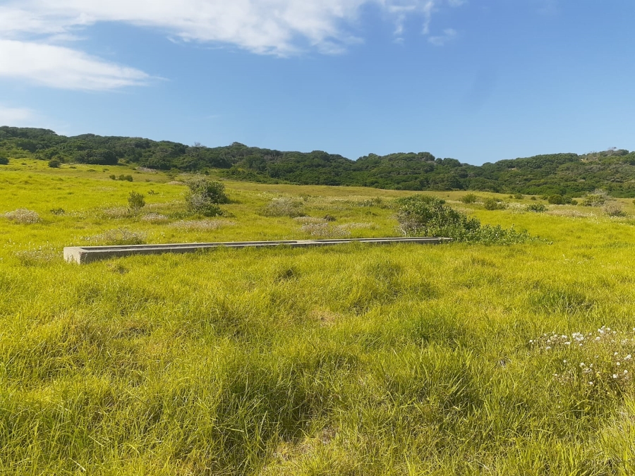 0 Bedroom Property for Sale in Seaview Eastern Cape